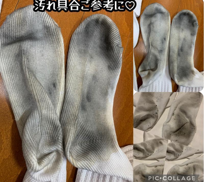 出品者名-写真
